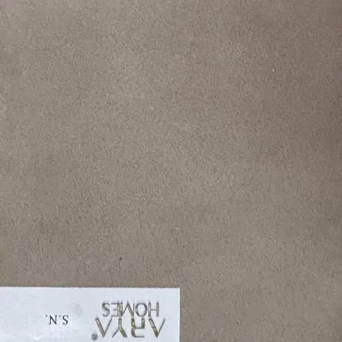 Arya Homes signature wall finish No. 10